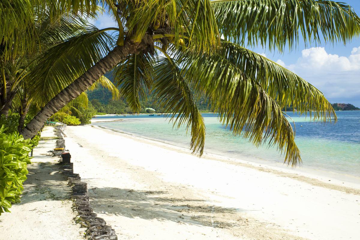 Indian Ocean Lodge Grand Anse  Exterior photo